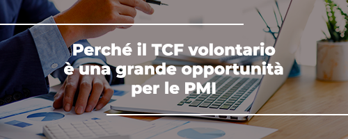 Il Tax Control Framework (TCF) volontario